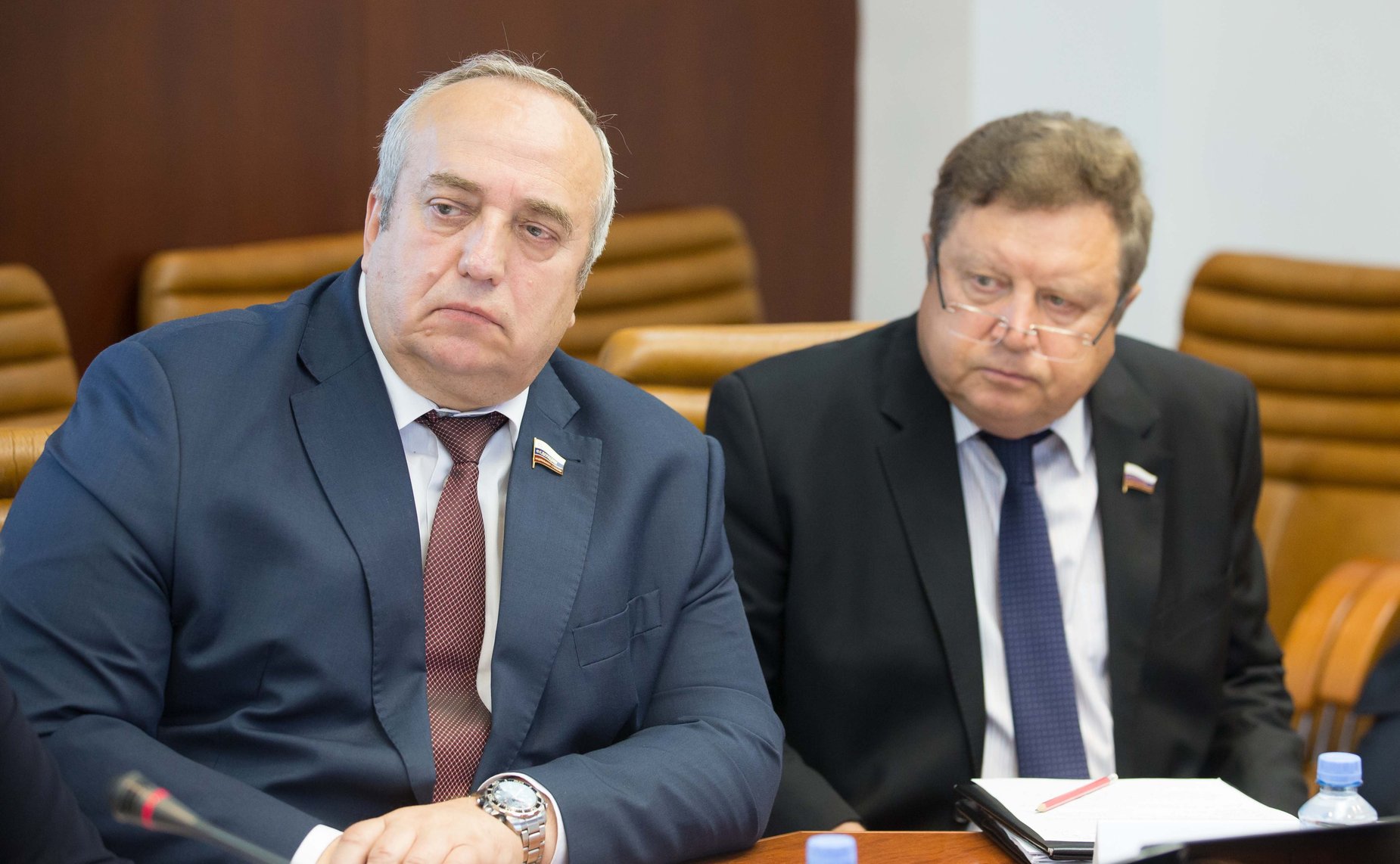 Ф. Клинцевич и Е. Серебренников