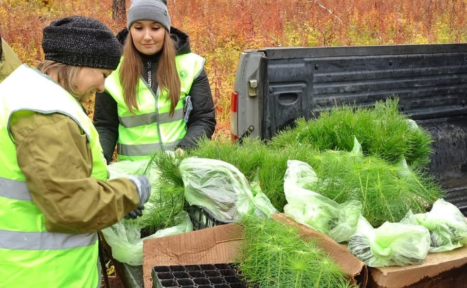 Андрей Чернышев принял участие во Всероссийской акции «Сохраним лес»