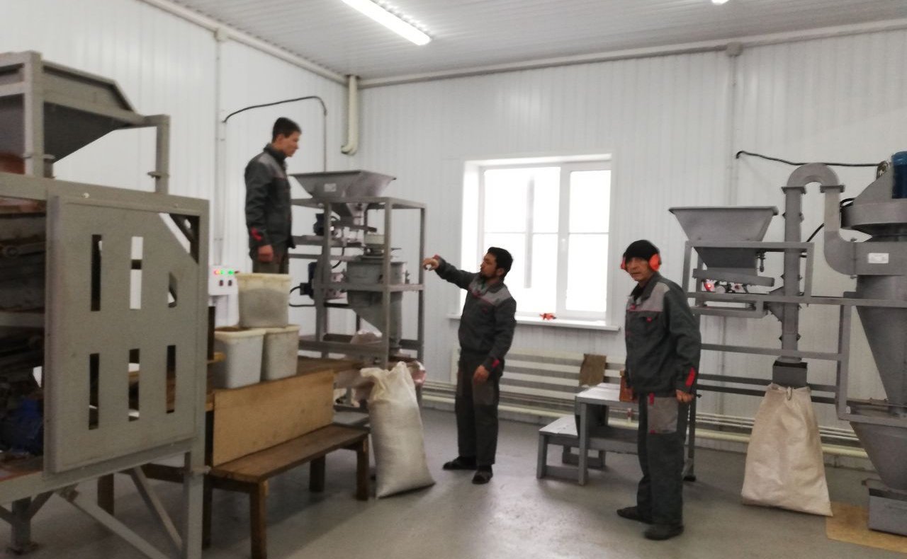 Татьяна Гигель в ходе рабочей командировки по региону посетила открывшийся в Горно-Алтайске в конце ушедшего года цех по переработке кедрового ореха, а также производству пищевых ферментов и биологически активных добавок