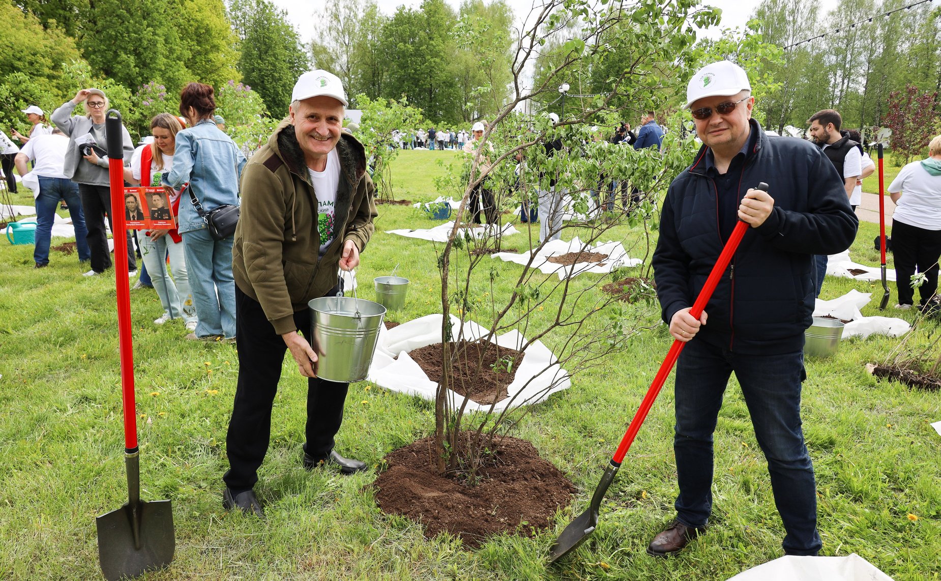 В Год защитника Отечества и 80-летия Победы в Великой Отечественной войне 1941–1945 годов сенаторы РФ и сотрудники Аппарата СФ провели акцию «Сад Памяти» — высадили 250 кустов сирени в музее-заповеднике «Горки Ленинские»