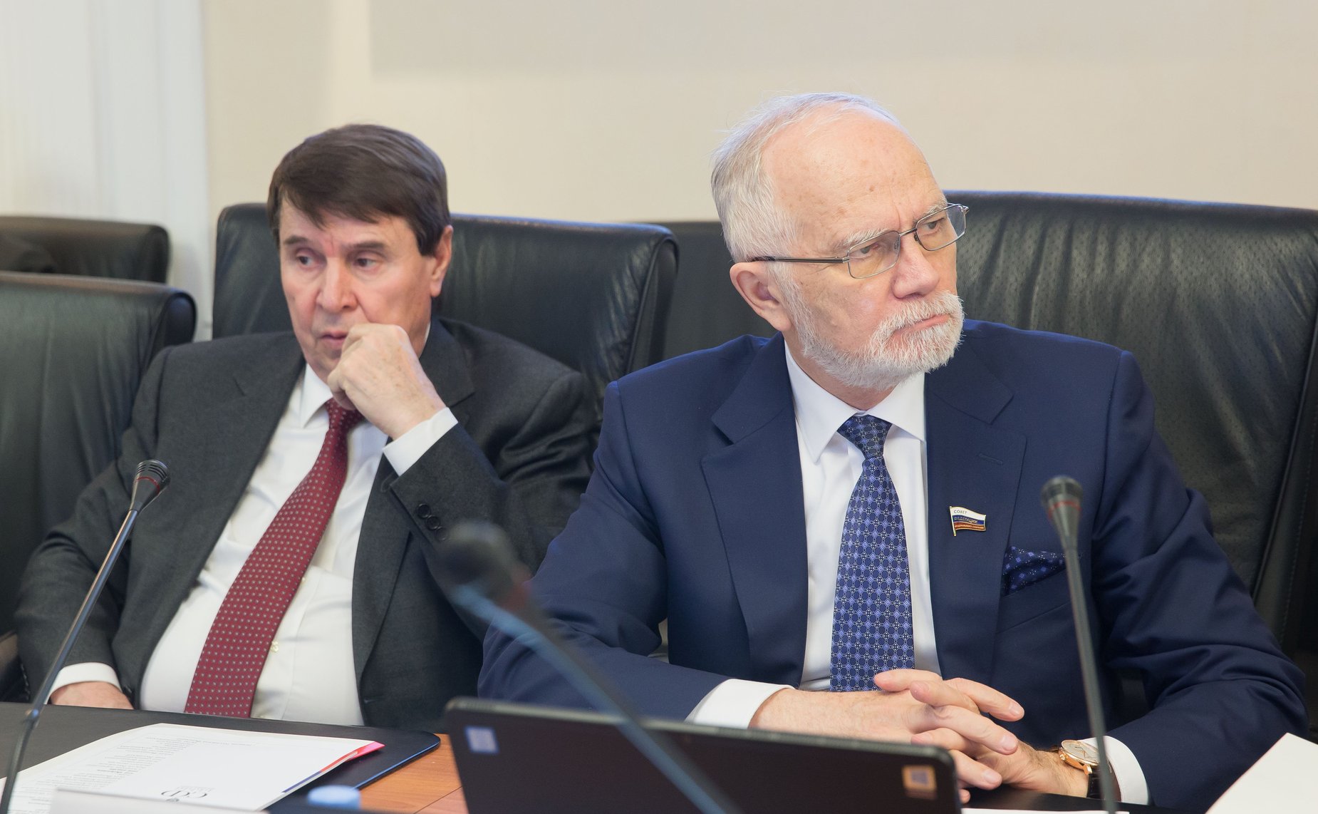 Совещание Комитета СФ по международным делам