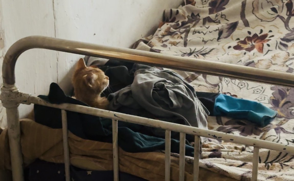 Игорь Кастюкевич посетил многодетную семью из Верхнего Рогачика