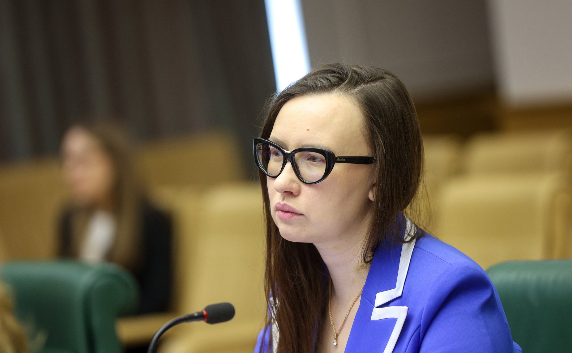 Круглый стол Комитета Совета Федерации по науке, образованию и культуре «Интеллектуальная собственность в материальном выражении: мода, промышленный дизайн, архитектура»