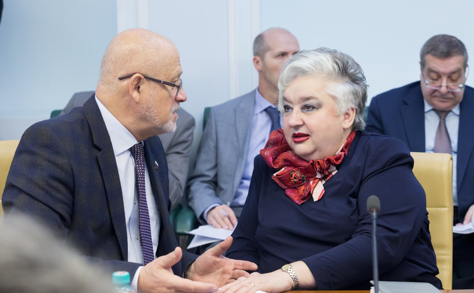 Заседание Комитета СФ по науке, образованию и культуре