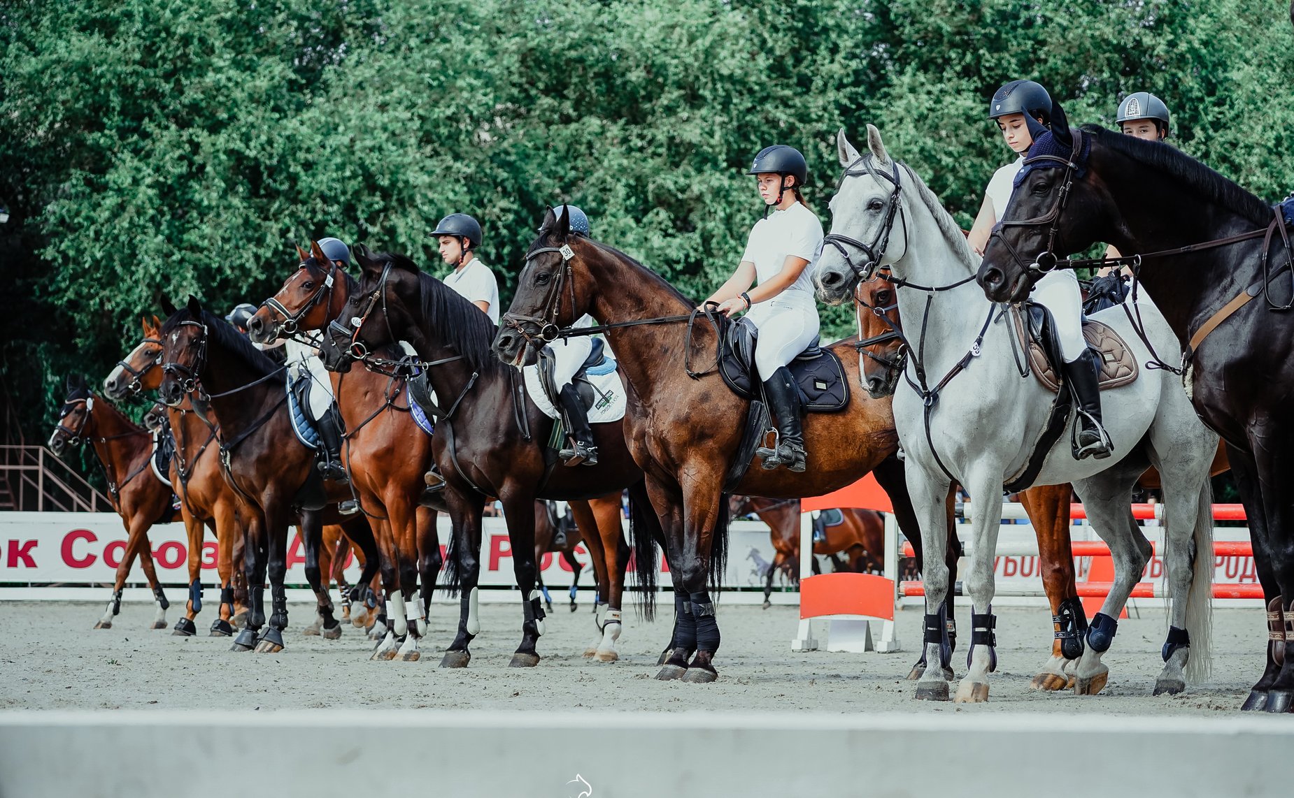 Владимир Бекетов принял участие в проведении соревнований по конному спорту в Краснодарском крае
