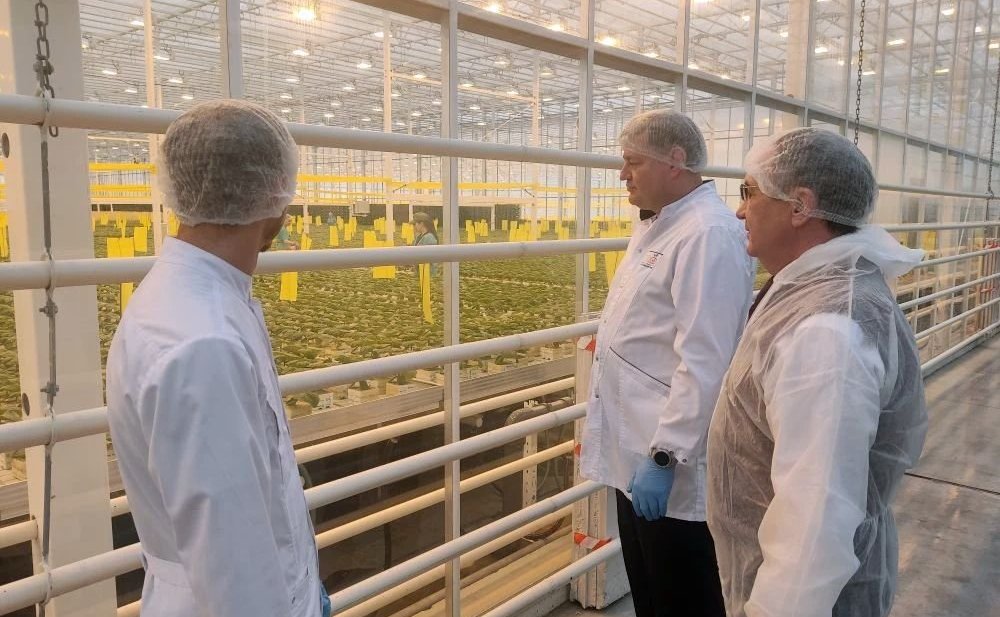 Николай Федоров посетил тепличный комплекс «Новочебоксарский»