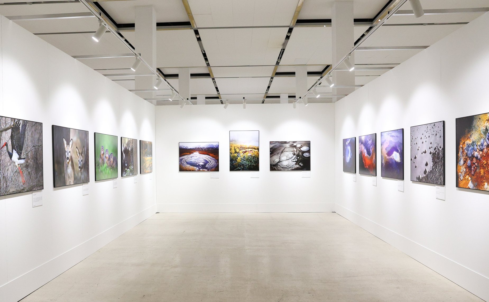 Валентина Матвиенко приняла участие в открытии XIII Общероссийского фестиваля природы «Первозданная Россия», который проходит под эгидой верхней палаты парламента