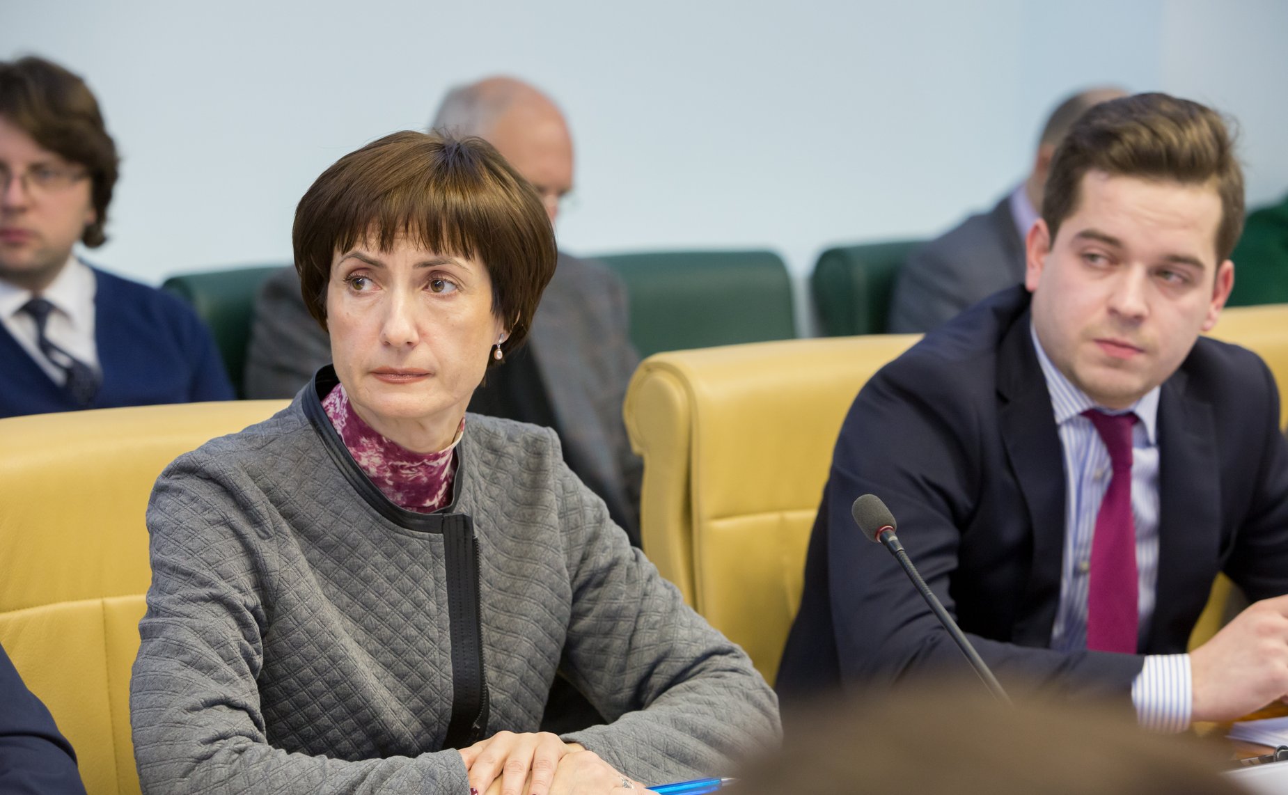 Заседание Экспертного совета по туризму Комитета СФ по социальной политике