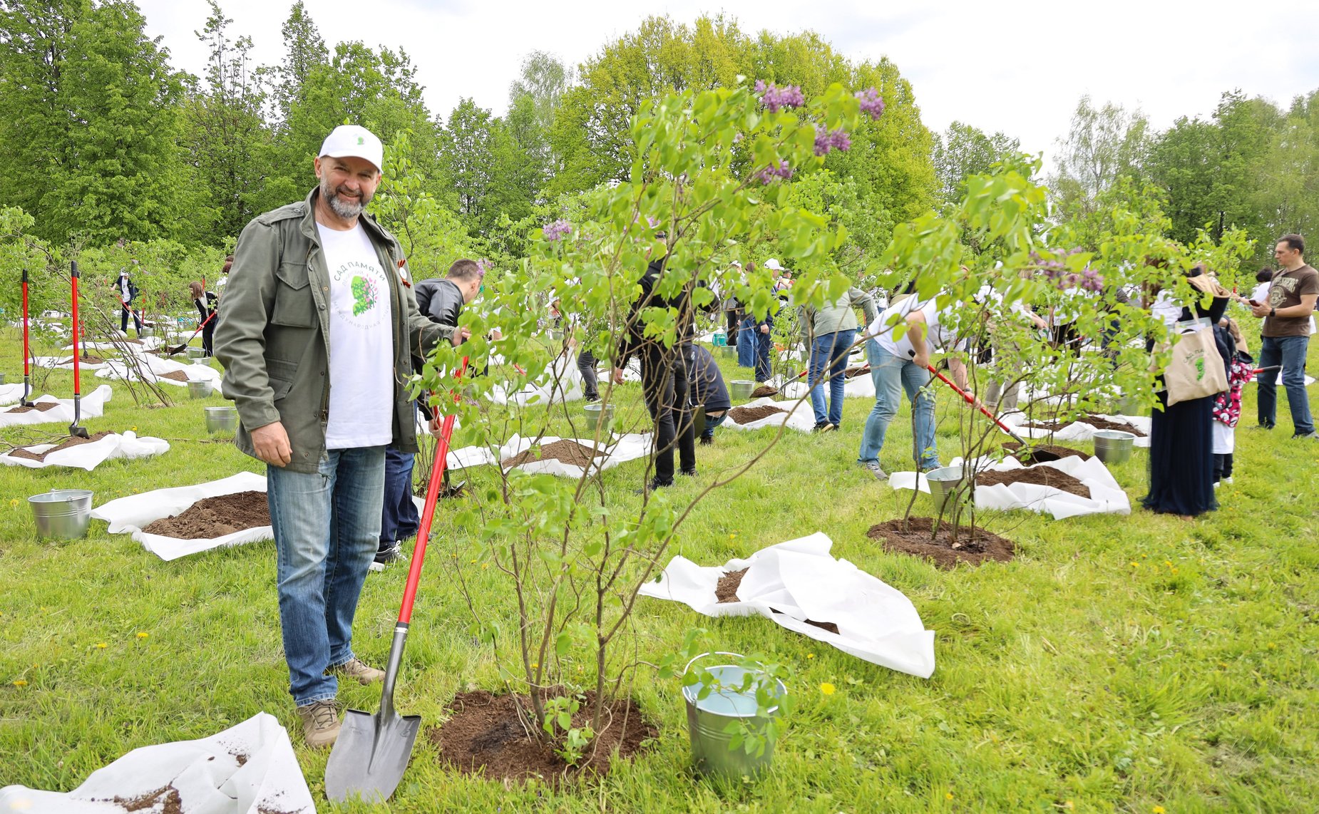 В Год защитника Отечества и 80-летия Победы в Великой Отечественной войне 1941–1945 годов сенаторы РФ и сотрудники Аппарата СФ провели акцию «Сад Памяти» — высадили 250 кустов сирени в музее-заповеднике «Горки Ленинские»