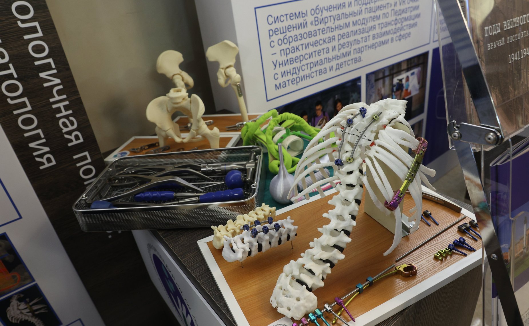 Торжественное открытие выставки достижений здравоохранения в сфере охраны здоровья матери и ребенка