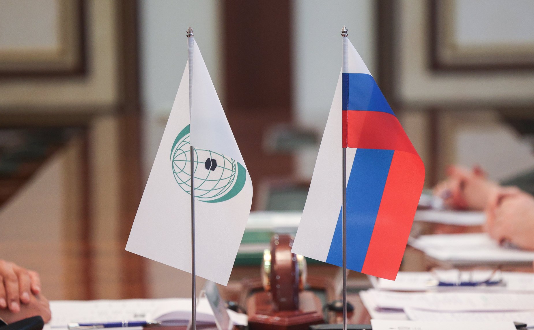 Фарит Мухаметшин провел встречу с представителями ОИС