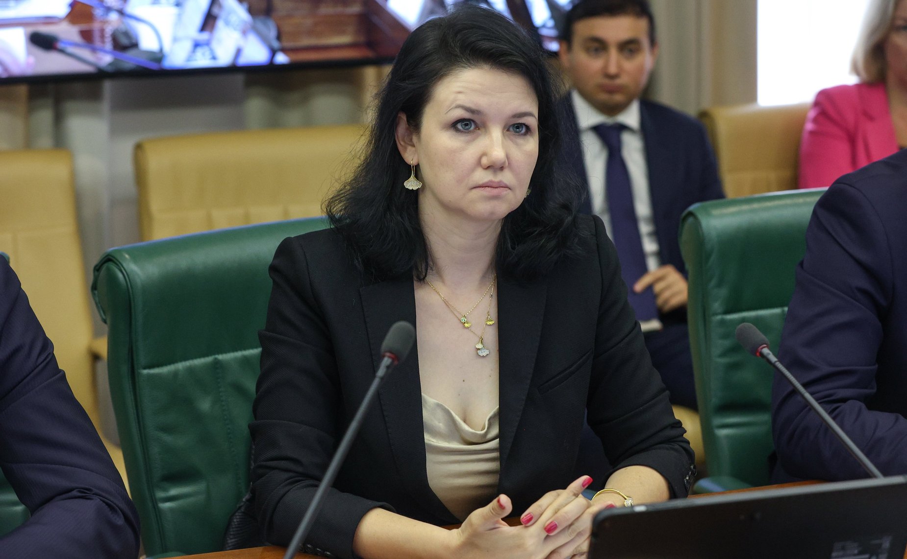 Заседание Комитета Совета Федерации по экономической политике