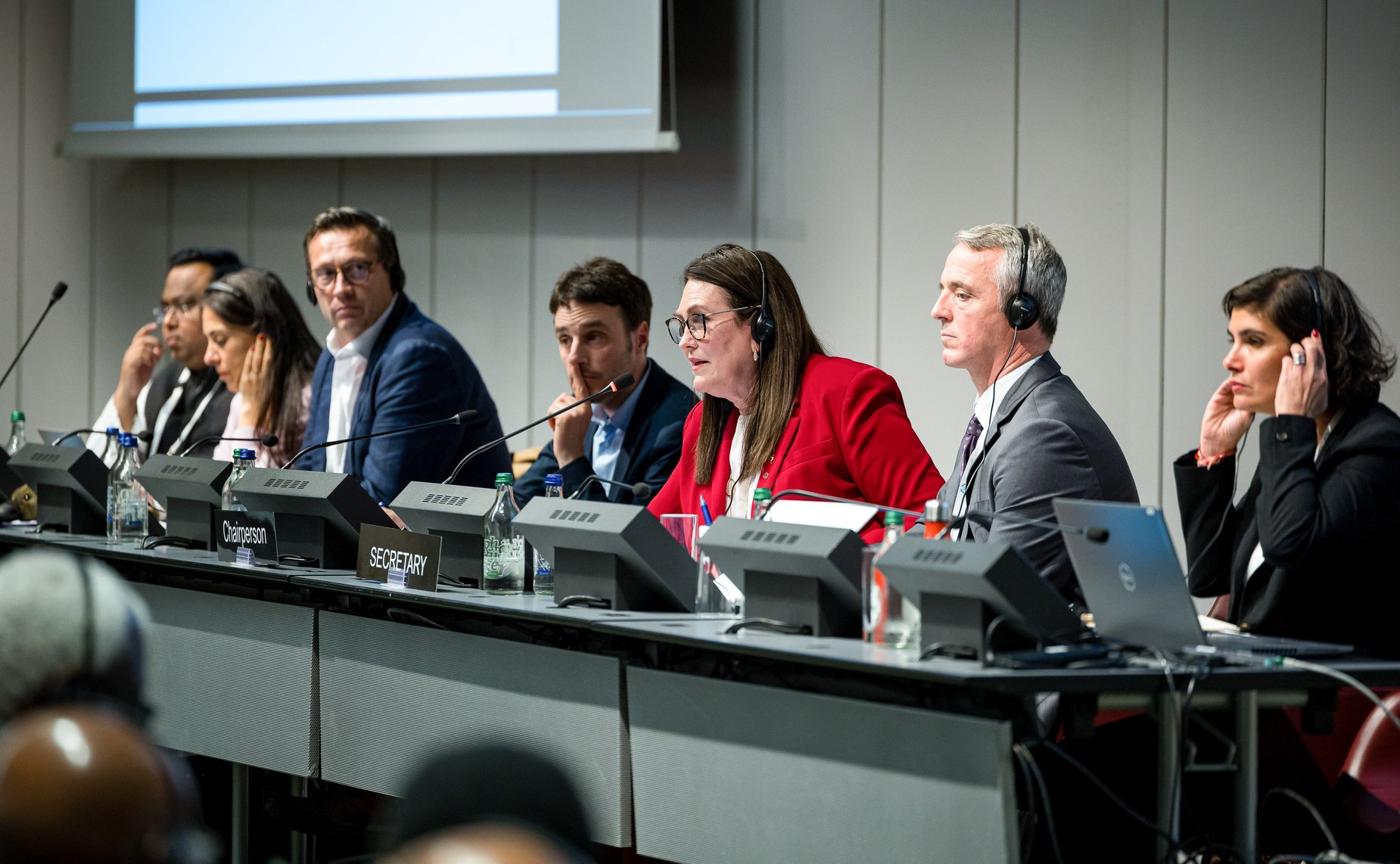 Сенаторы РФ приняли участие в заседании Постоянного комитета по вопросам демократии и прав человека Межпарламентского союза