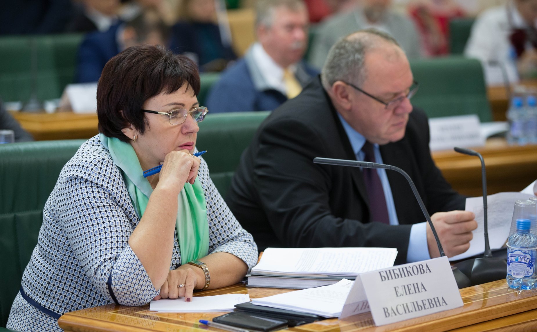 Заседание Экспертного совета по туризму при Комитете СФ по социальной политике