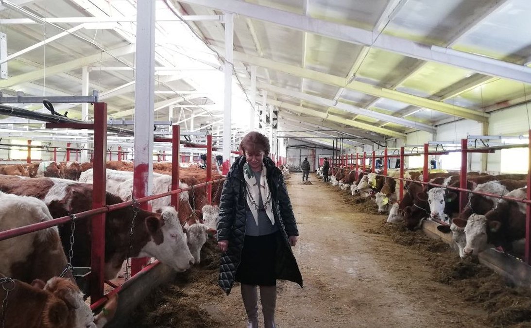 Татьяна Гигель в ходе рабочей командировки по региону побывала на новой ферме в селе Гусевка Чойского района