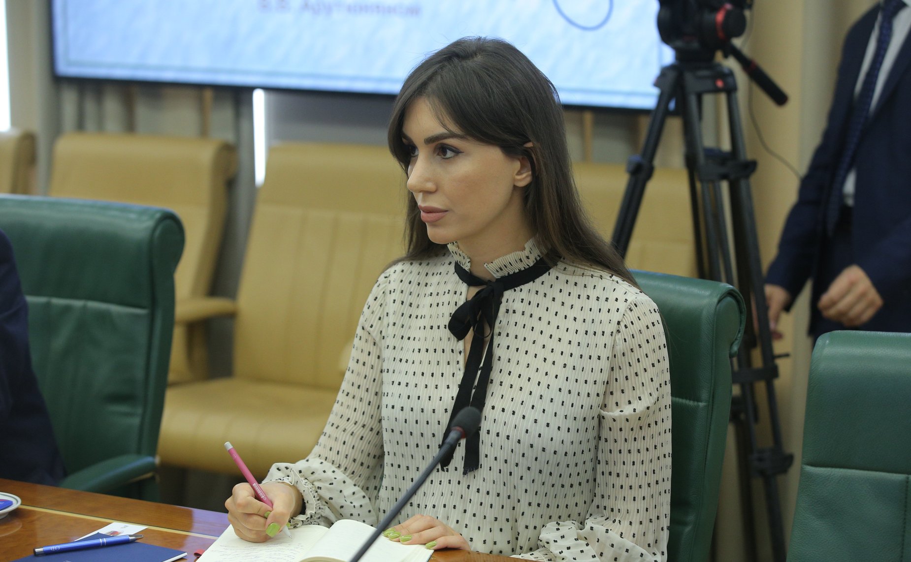 Встреча заместителя Председателя СФ Константина Косачева с Чрезвычайным и Полномочным Послом Республики Армения в РФ