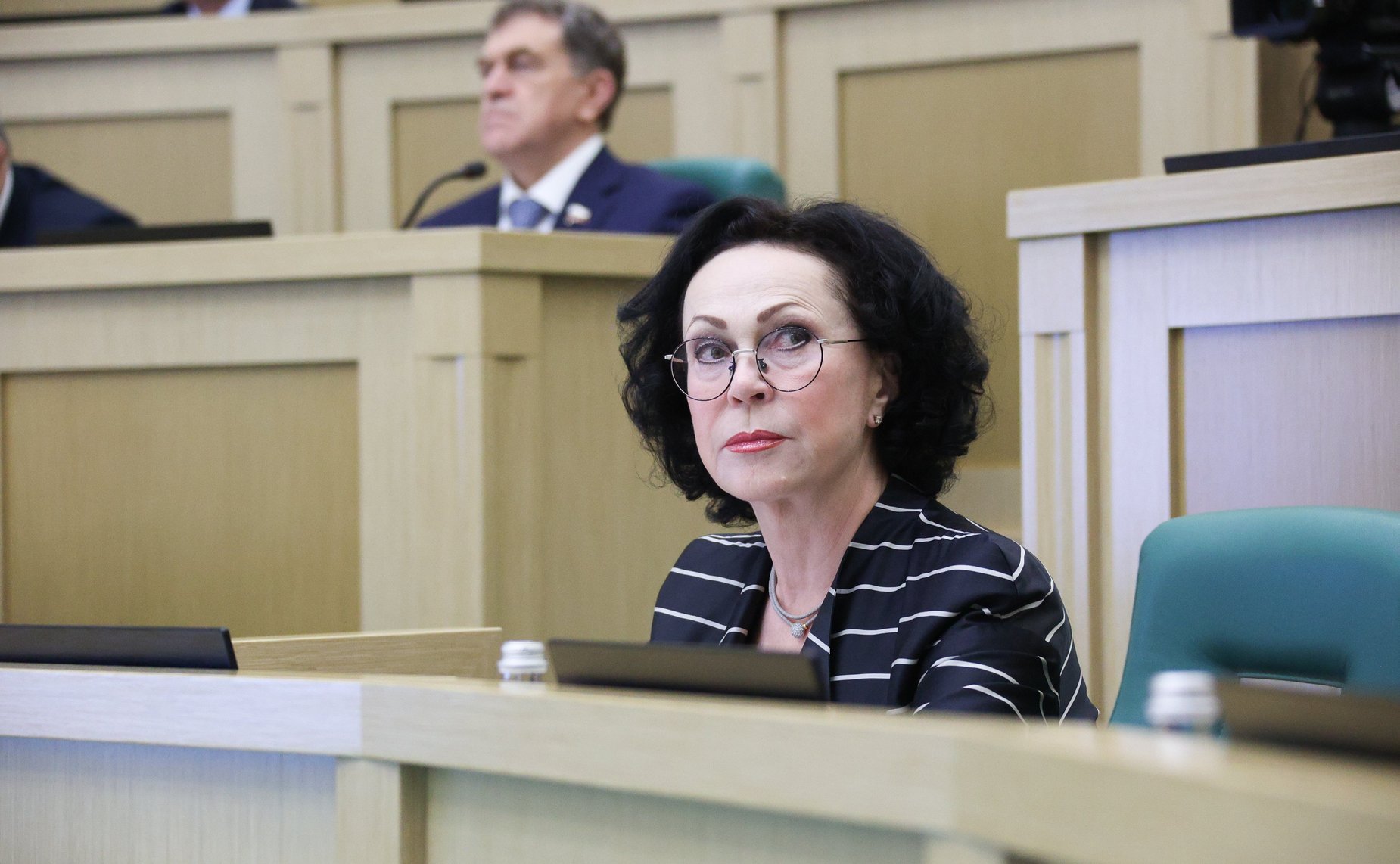 594-е заседание Совета Федерации