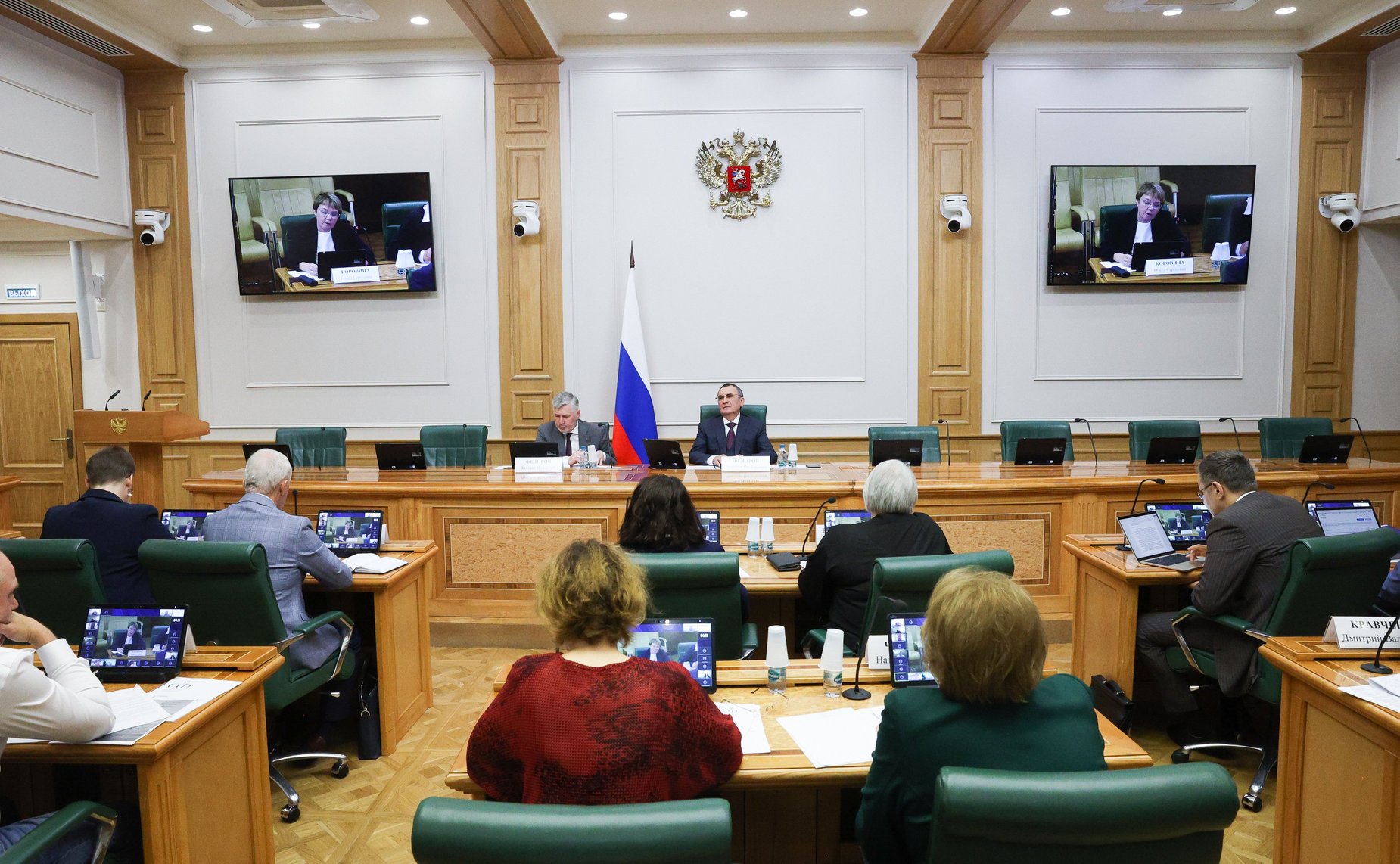 Заседание экспертно-консультативного совета при Комитете Совета Федерации по конституционному законодательству и государственному строительству