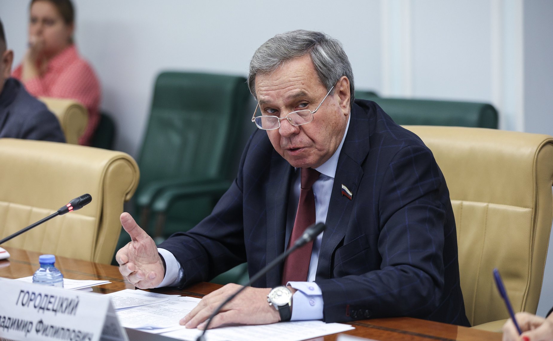 Владимир Городецкий