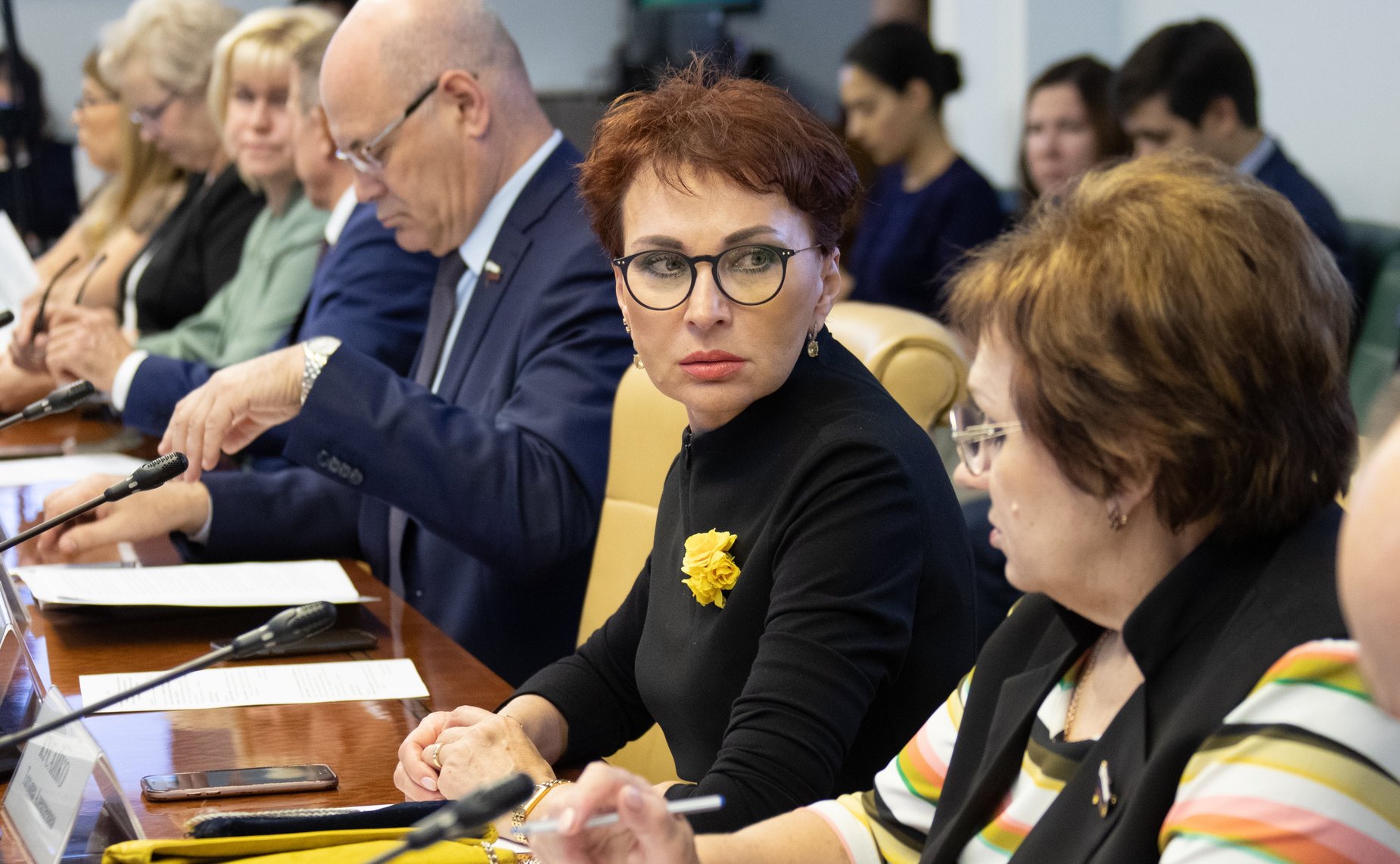 Расширенное заседание Комитета СФ по социальной политике