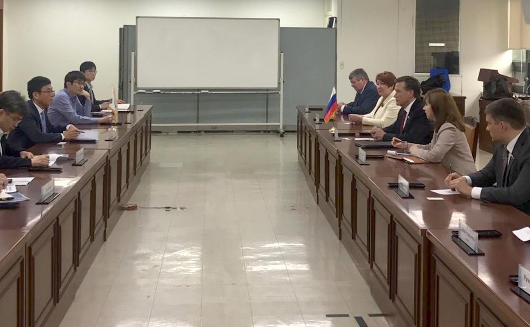 Встреча российских сенаторов с директором бюджетного департамента Министерства планирования и финансов Республики Корея Ан До Голем
