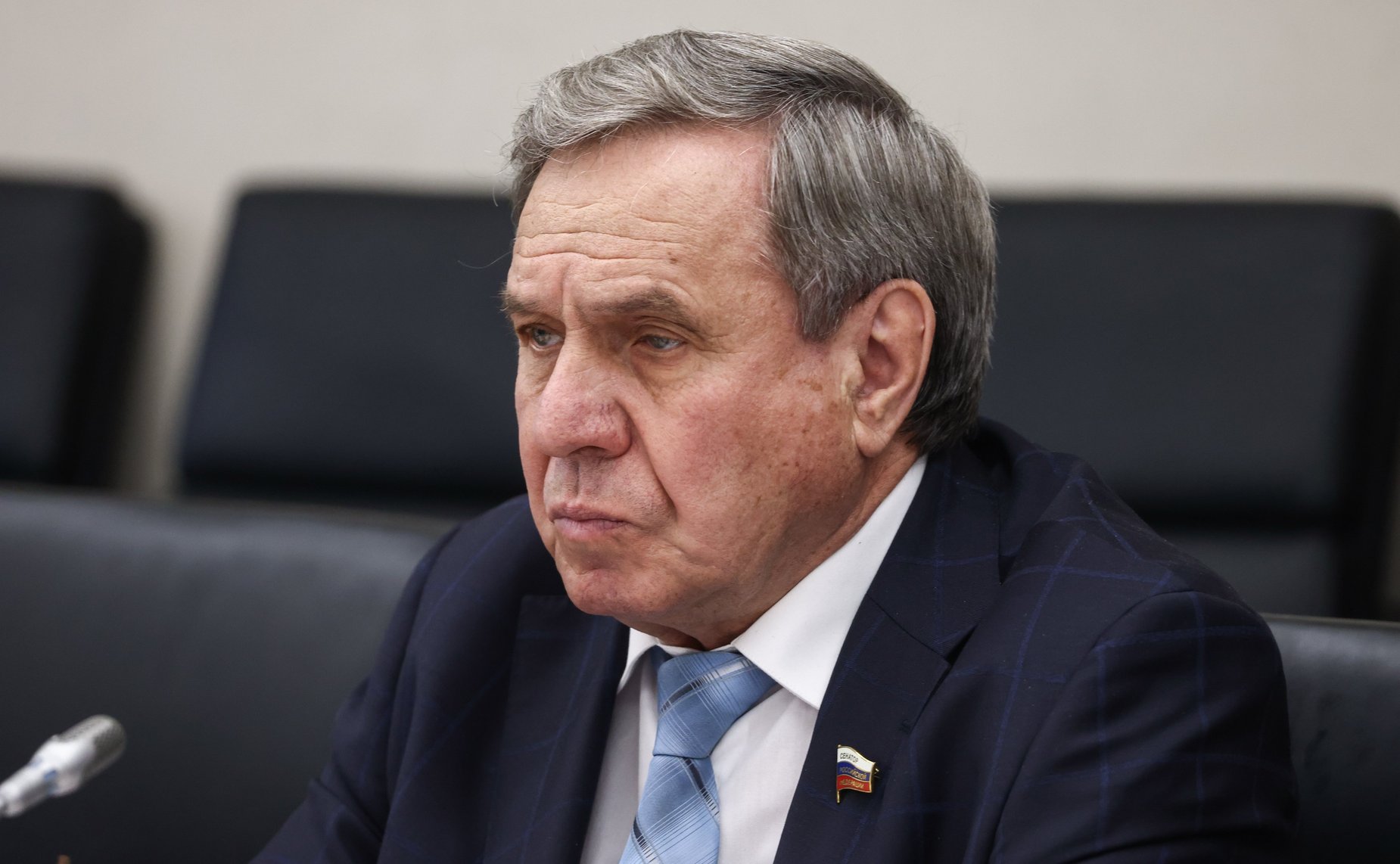 Владимир Городецкий