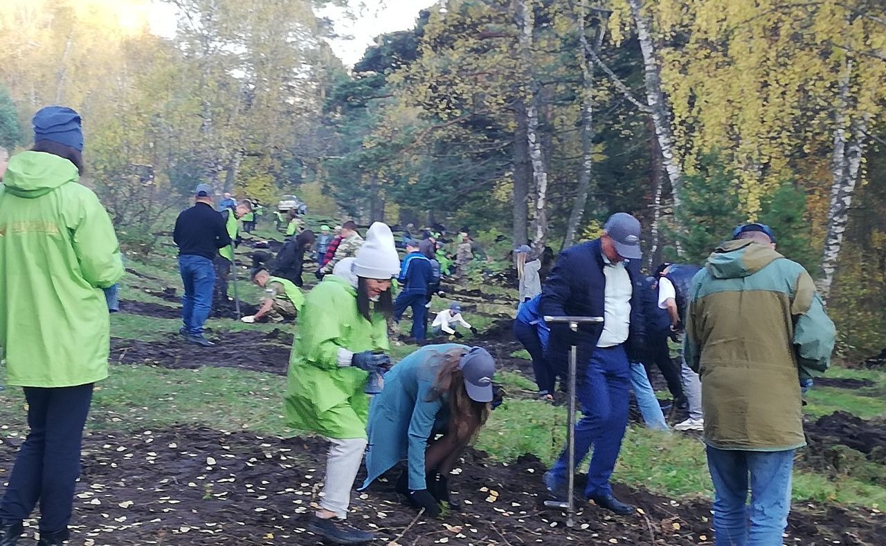 Татьяна Гигель в ходе рабочей поездки в регион приняла участие в посадке саженцев хвойных пород деревьев на территории Майминского района