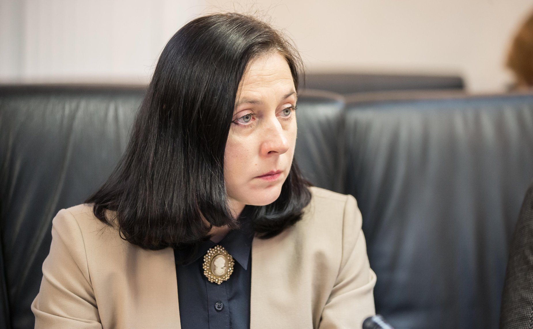 Заседание Комитета СФ по науке, образованию и культуре на тему «Комплексный подход в развитии малых исторических городов Тульской области»