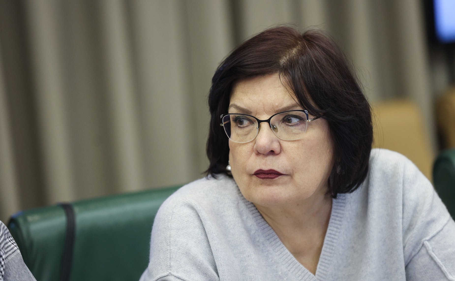 Круглый стола Комитета СФ по науке, образованию и культуре «О проекте концепции развития дошкольного образования на период до 2030 года»