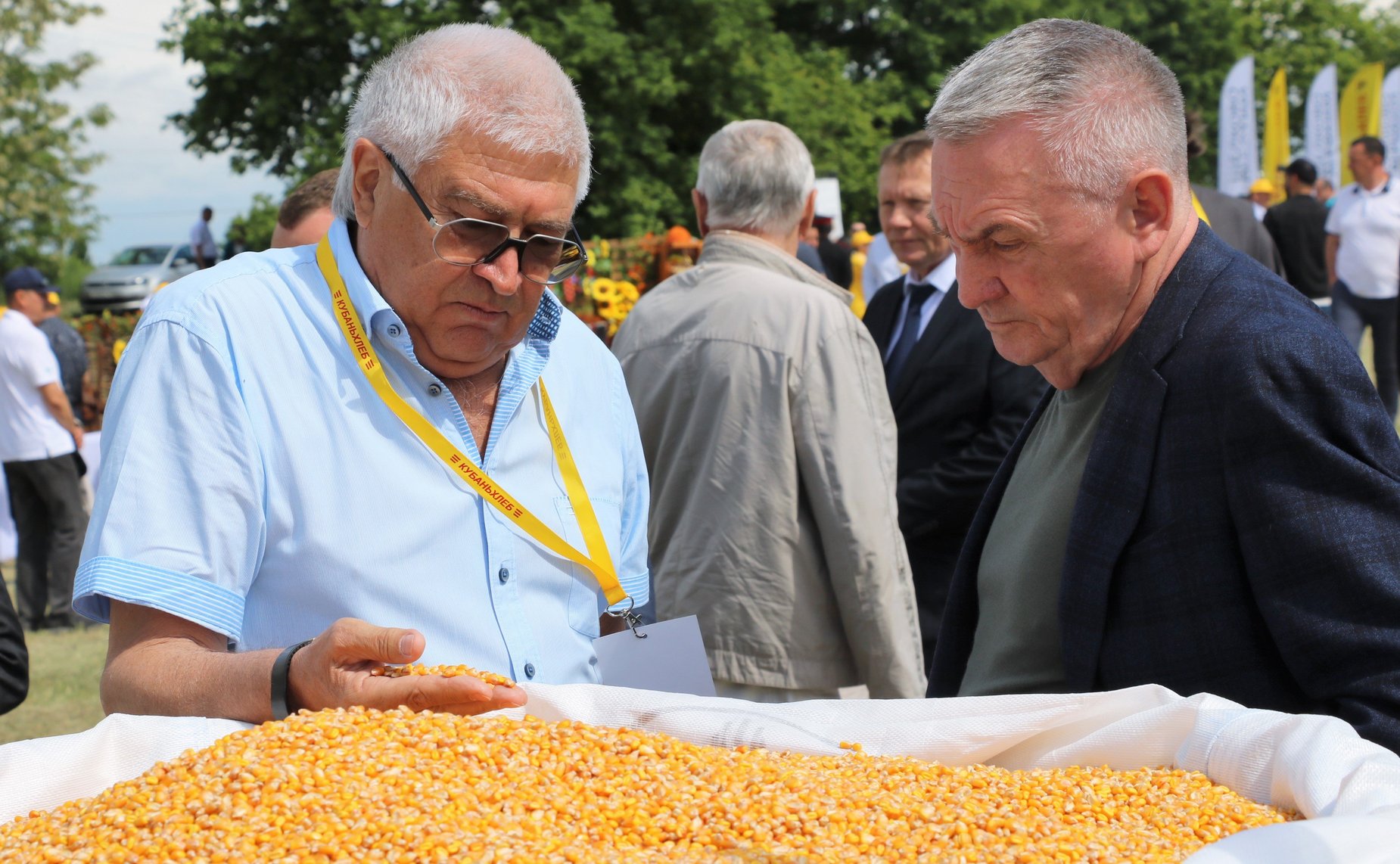 В районах Кубани проходят традиционные мероприятия – Дни поля