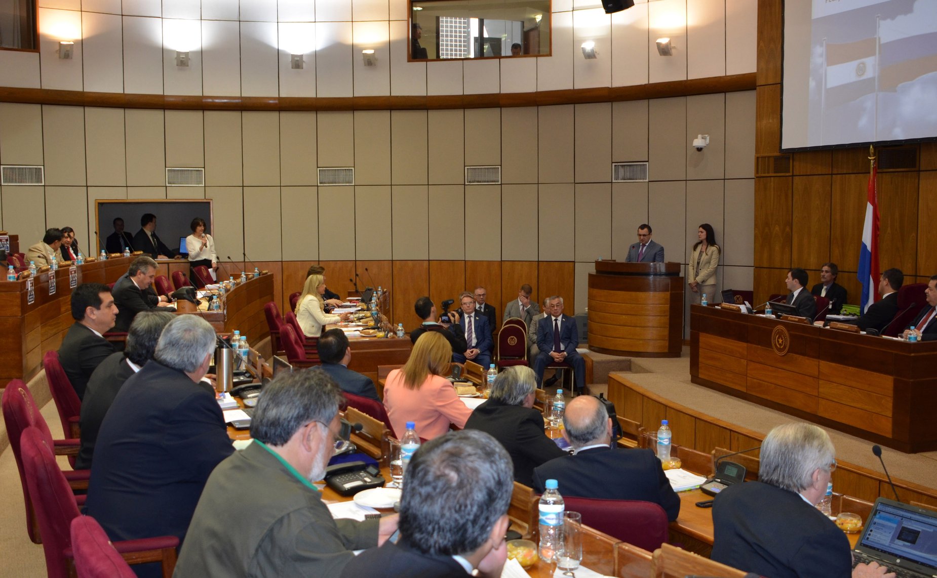 Выступление Н. Федорова в Сенате Парагвая