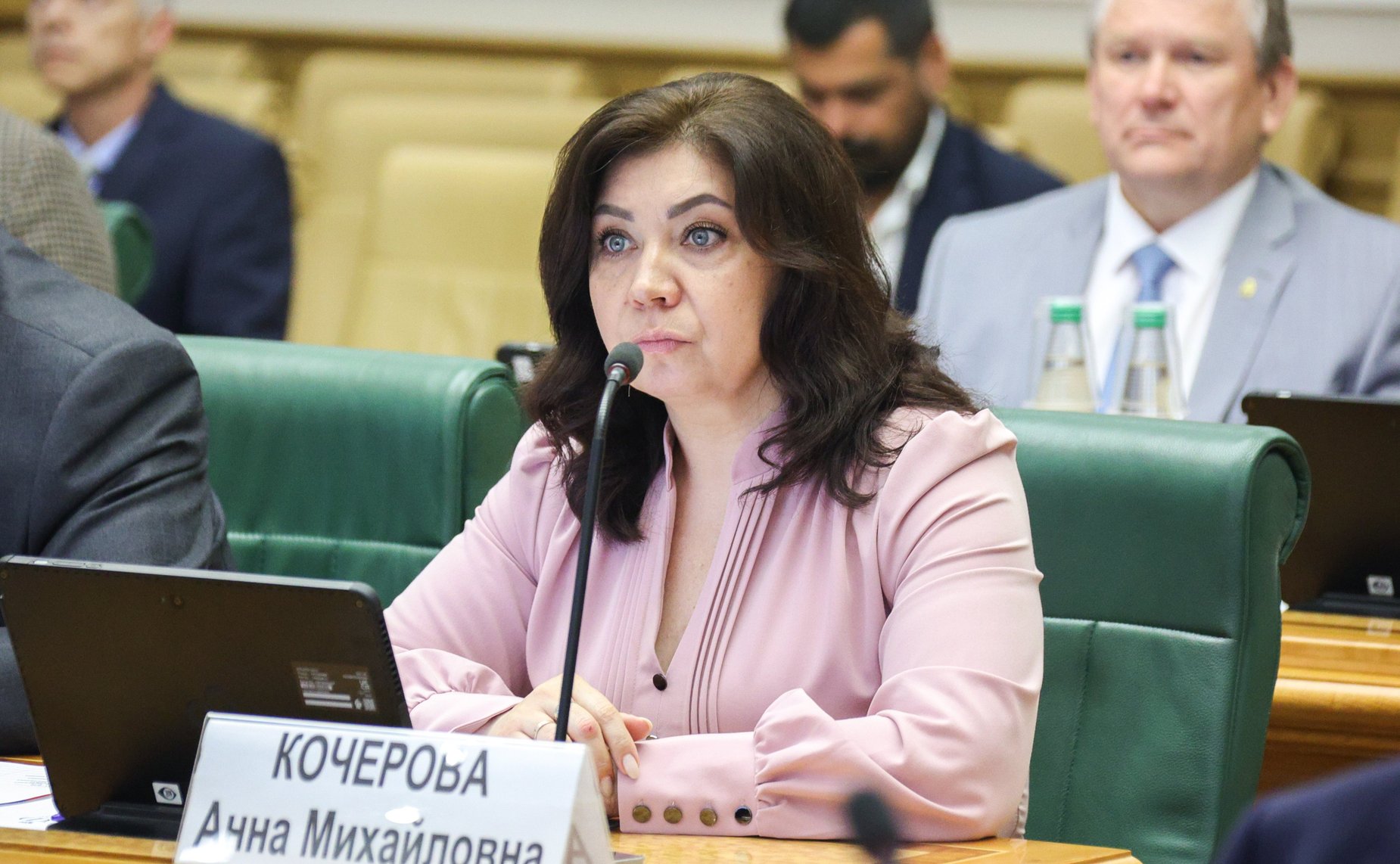 Анна Кочерова