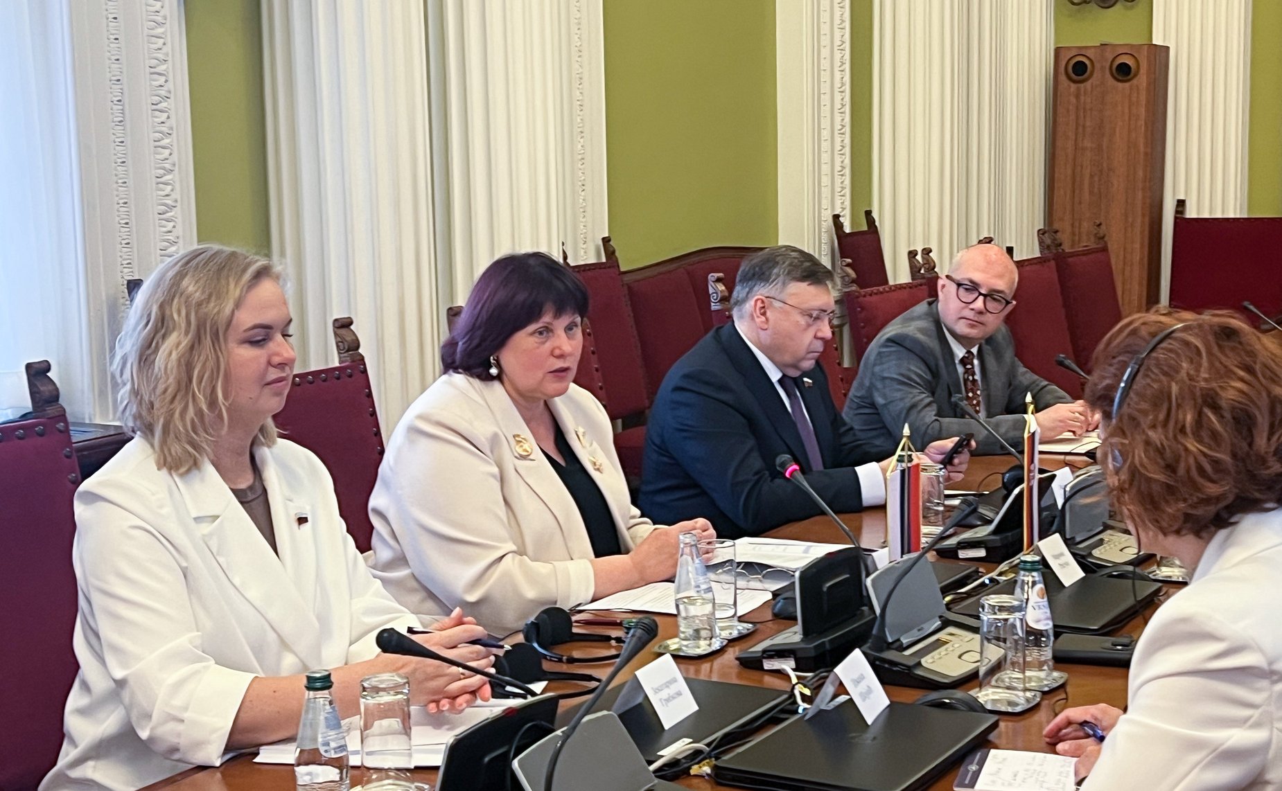 Встреча сенаторов с заместителем Председателя Народной скупщины Республики Сербии, председателем Комитета Народной скупщины Республики Сербии по внешней политике Мариной Рагуш