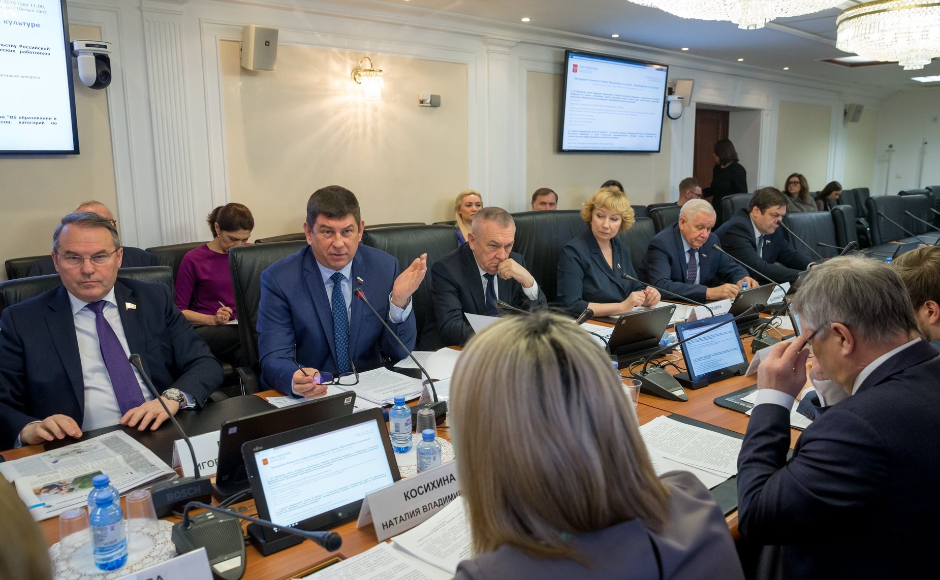 Заседание Комитета СФ по науке, образованию и культуре