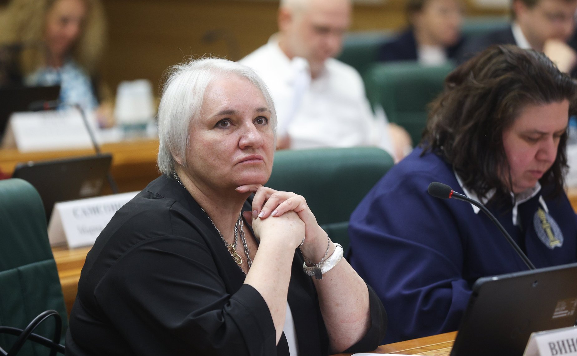 Заседание экспертно-консультативного совета при Комитете Совета Федерации по конституционному законодательству и государственному строительству