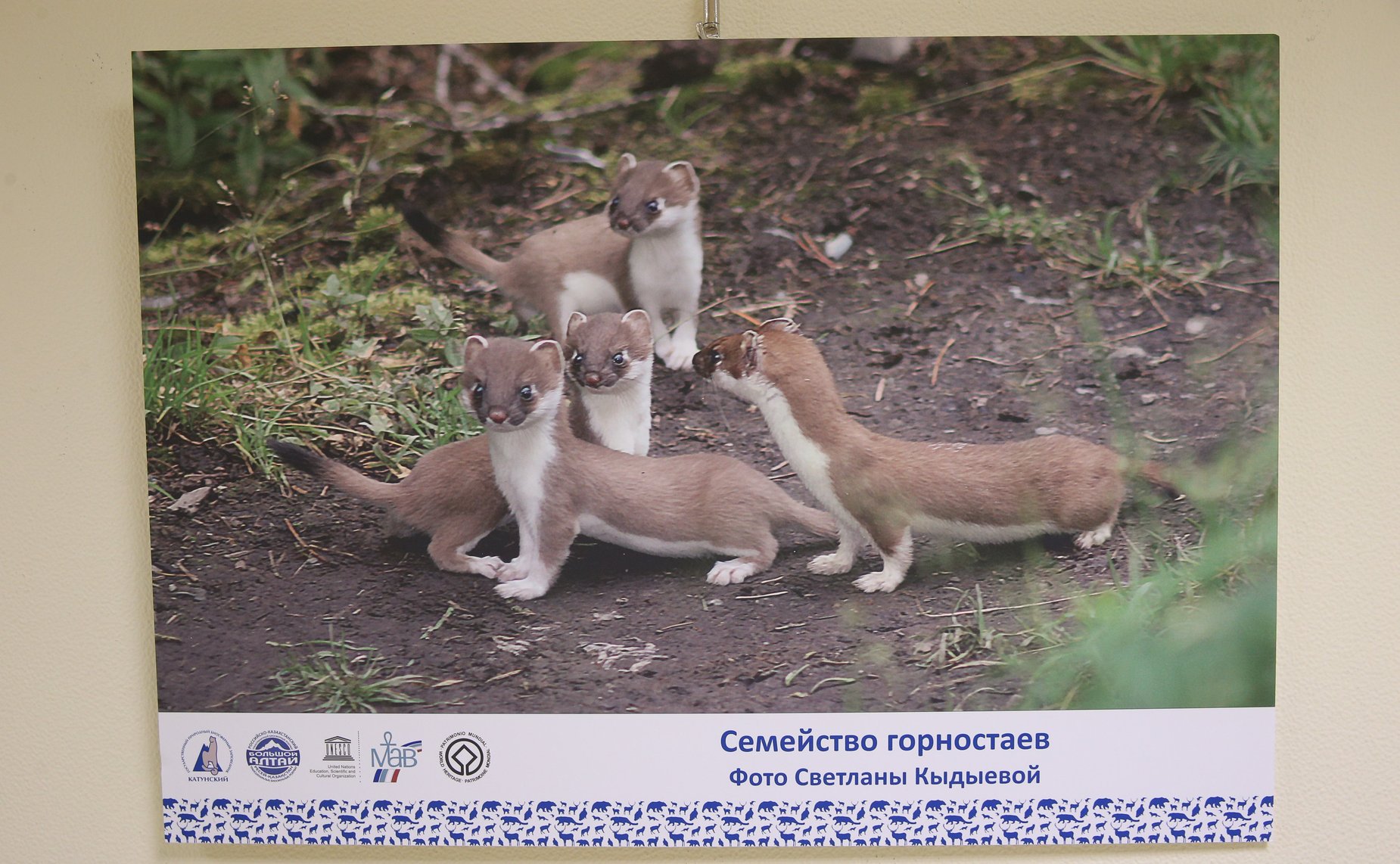 В Совете Федерации открылась фотовыставка «Катунский заповедник. Сохранить красоту, созданную природой»