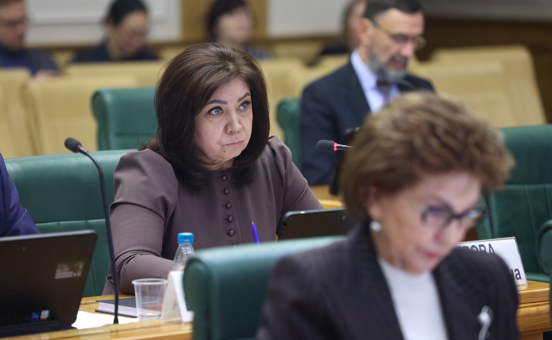 Анна Кочерова