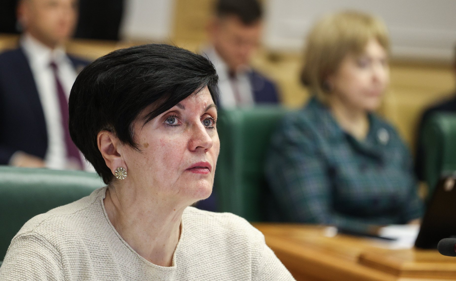 Заседание Экспертного совета по социальному развитию при Комитета Совета Федерации по социальной политике на тему «О проведении Года семьи в Российской Федерации»