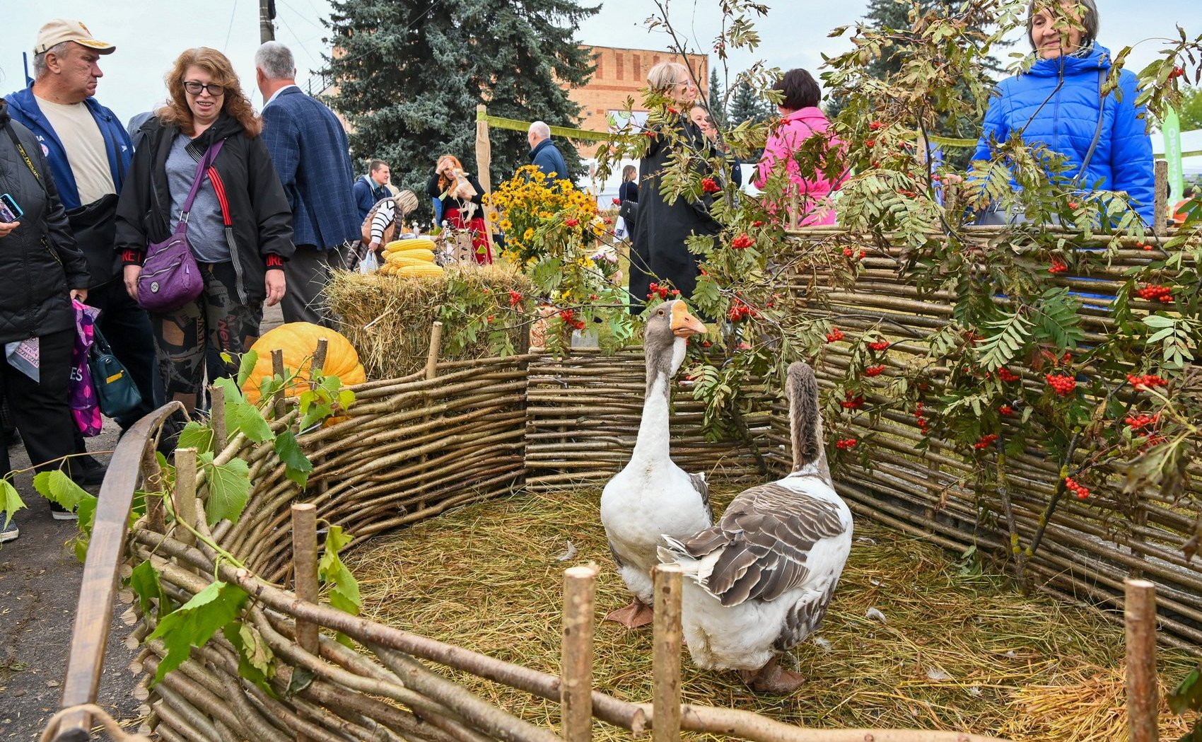 Анатолий Артамонов в Калуге дал старт работе трехдневной выставки-ярмарки «Калужская осень-2022»