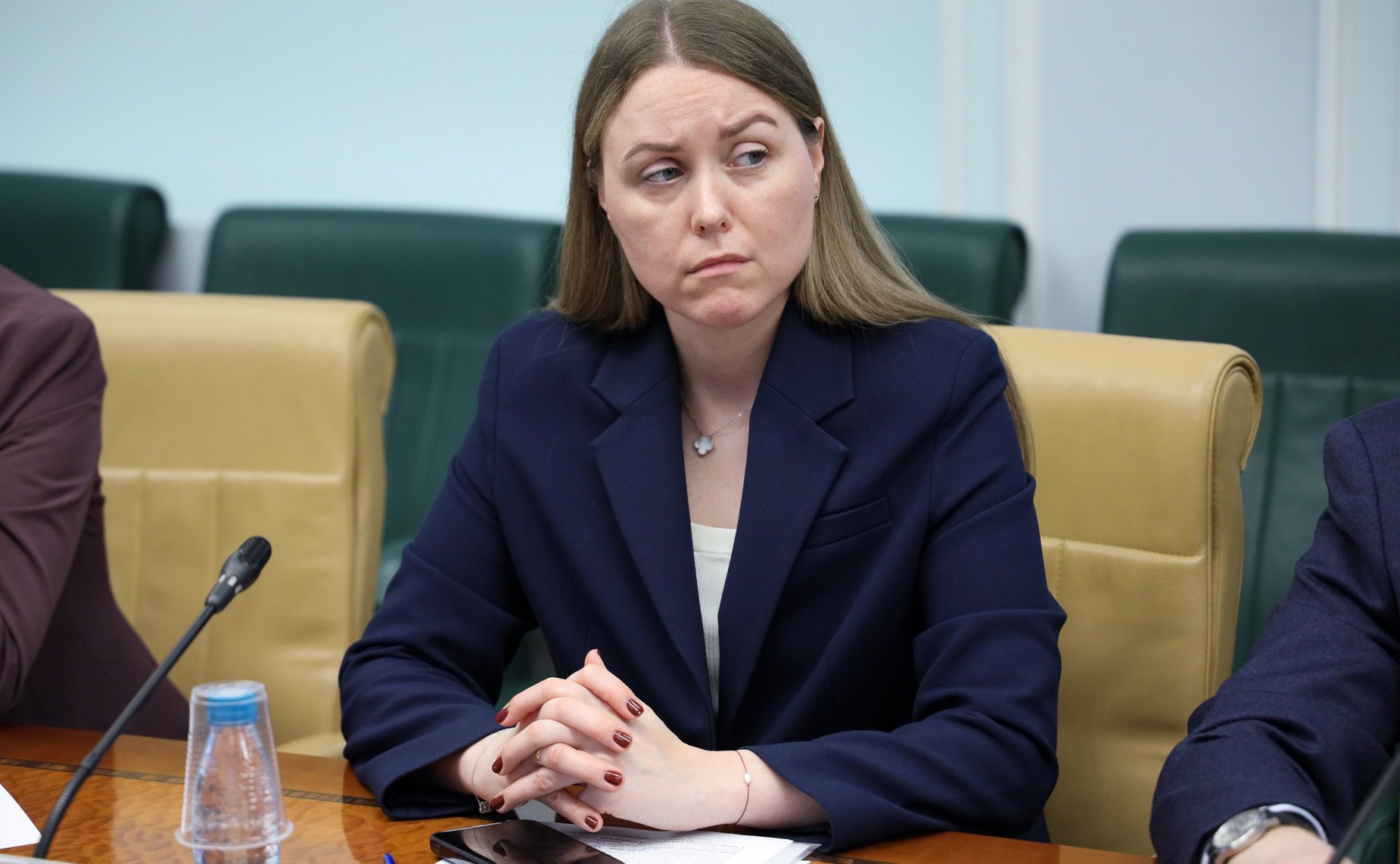 Круглый стол на тему «Законодательное и экономическое обеспечение развития особых экономических зон туристско-рекреационного типа, а также отдельных туристических кластеров»