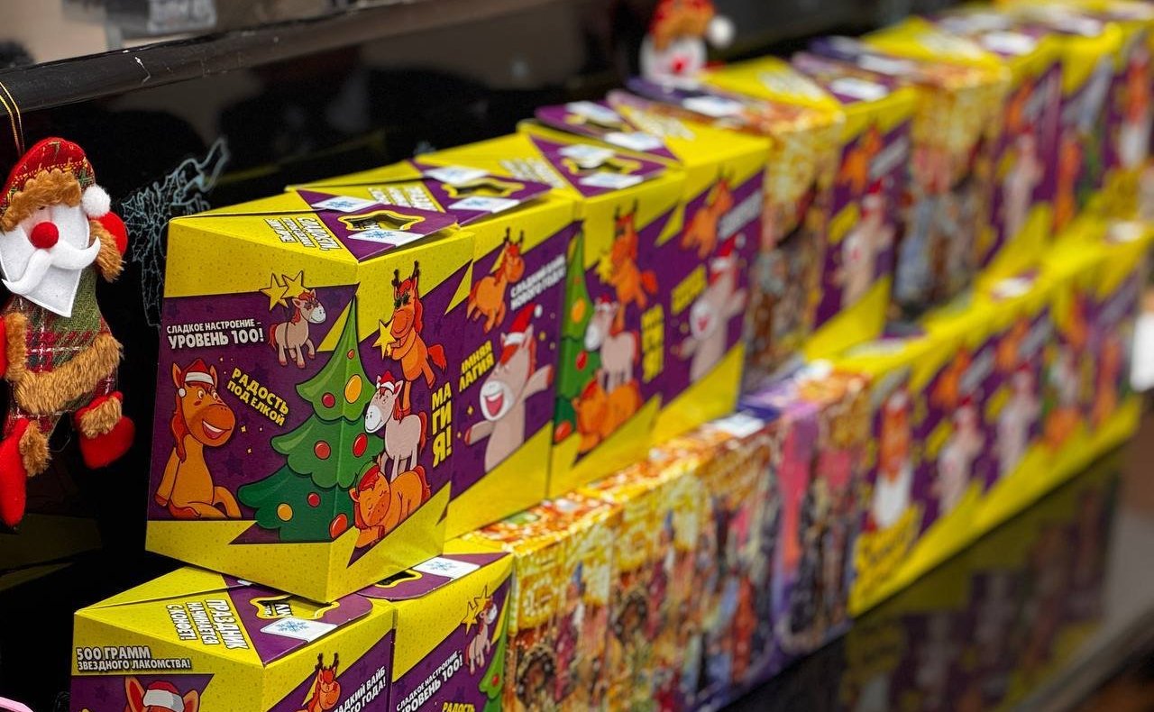 Айрат Гибатдинов поздравил воспитанников ульяновских интернатов с наступающими праздниками