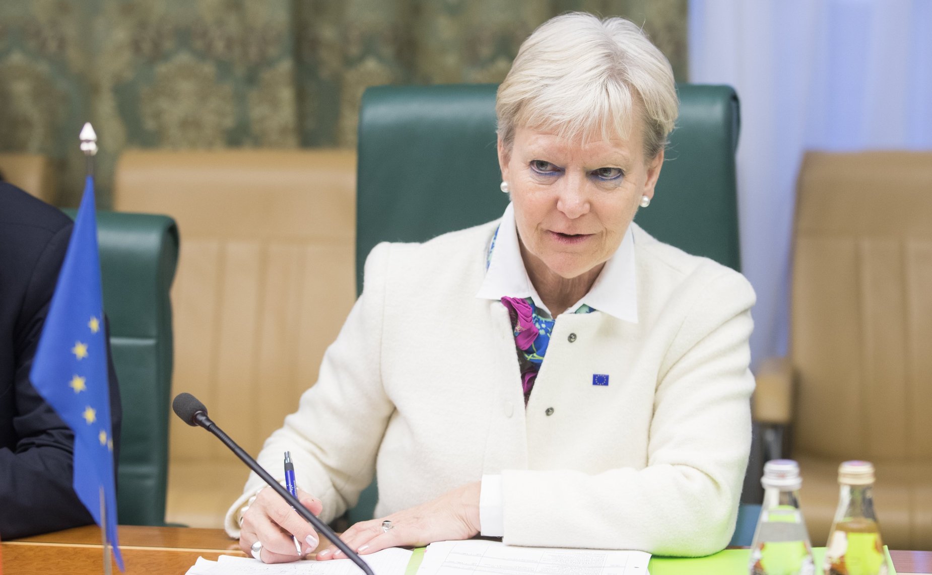 Встреча А. Акимова с Послом по особым поручениям Европейского союза по Арктике Мари-Энн Конинскс