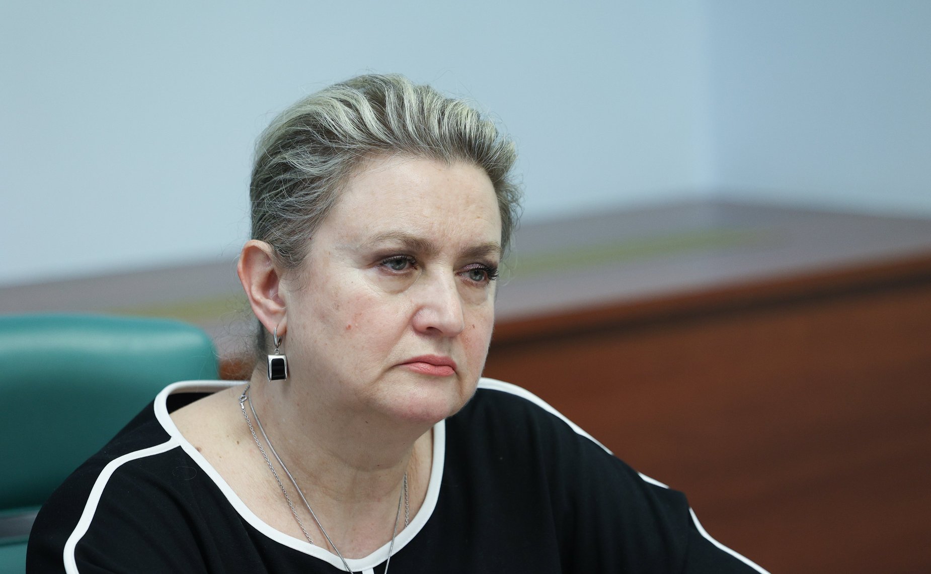 Совещание на тему «Развитие способов управления общим имуществом собственников домов в комплексах индивидуальных жилых домов»