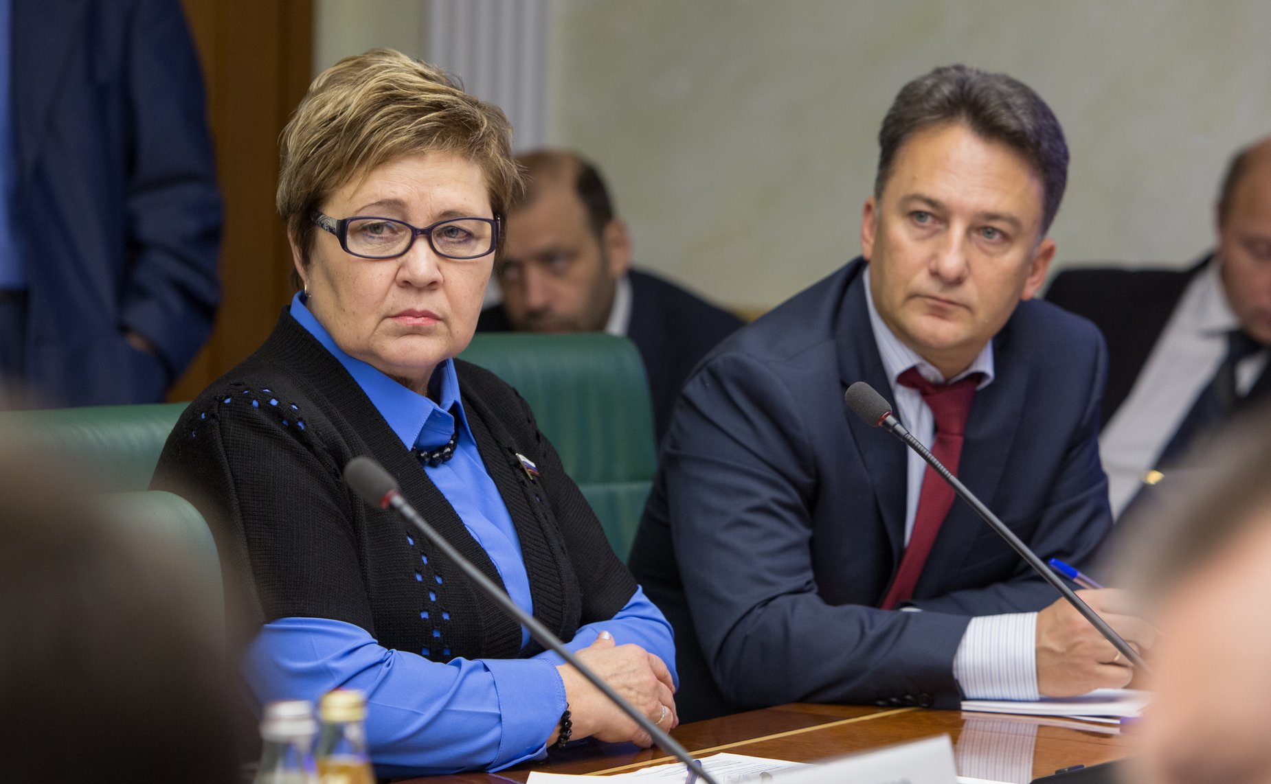 Г. Николаева Заседание Комитета общественной поддержки жителей Юго-Востока Украины