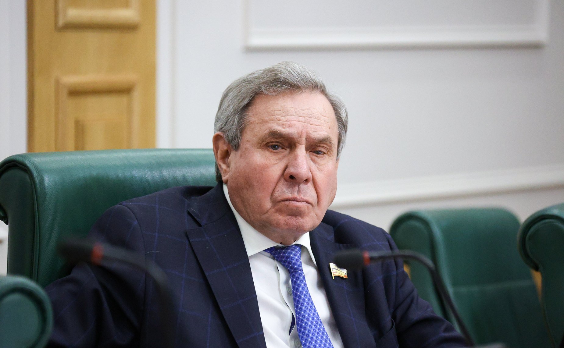 Владимир Городецкийа