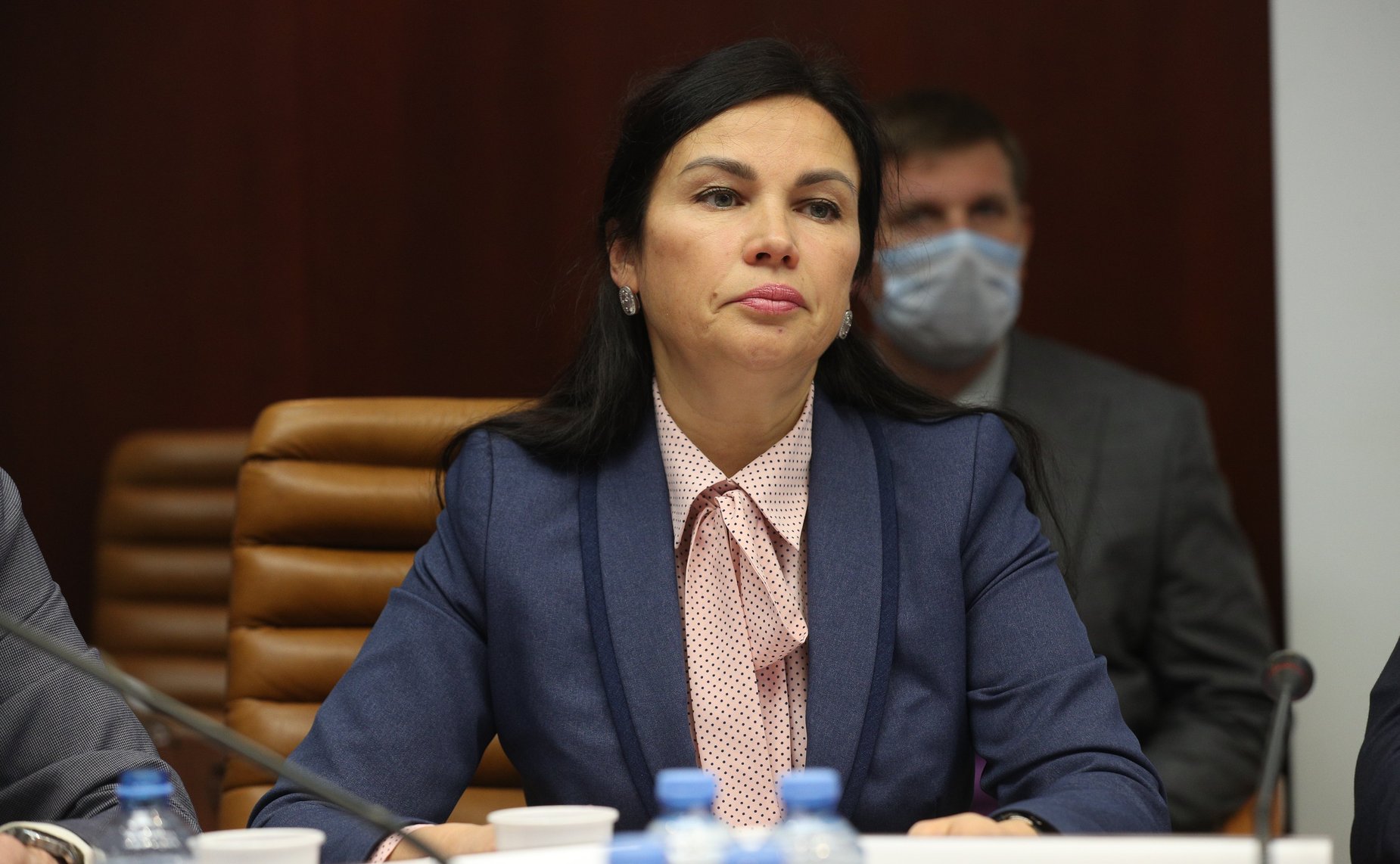 Совместное совещание комитетов СФ по вопросу совершенствования оформления электронных виз для посещения РФ