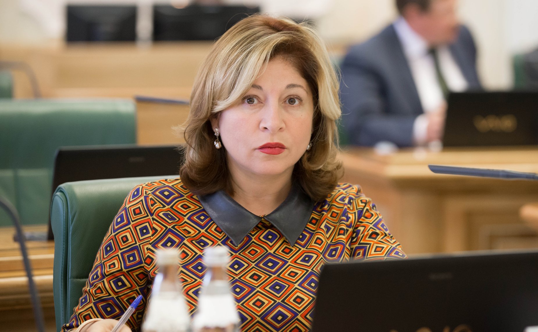 Ж. Иванова Заседание Комитета Совета Федерации по конституционному законодательству и государственному строительству