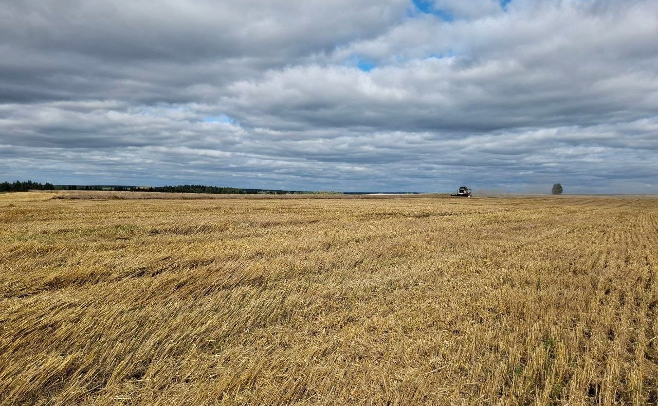 Сергей Мартынов побывал в Сернурском районе республики – на полях козьей фермы «Лукоз», побеседовал с земледельцами