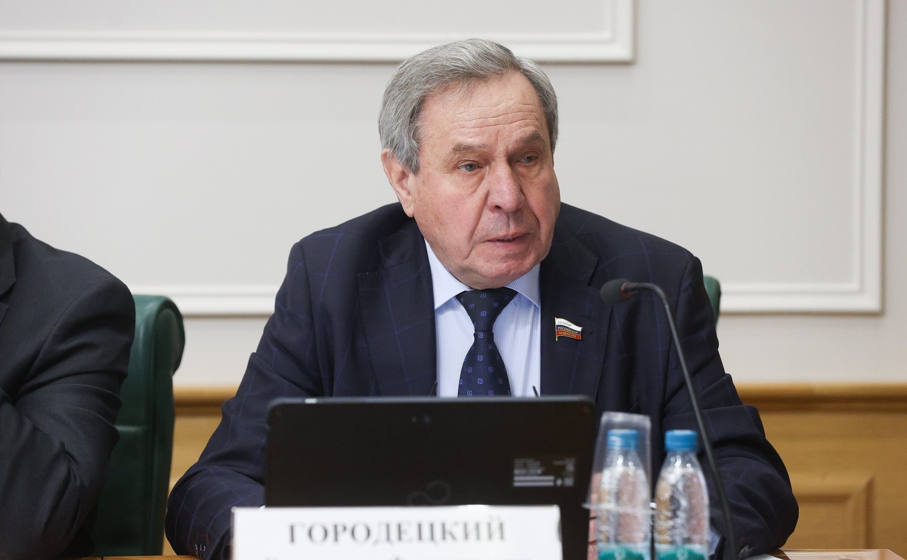 Владимир Городецкий