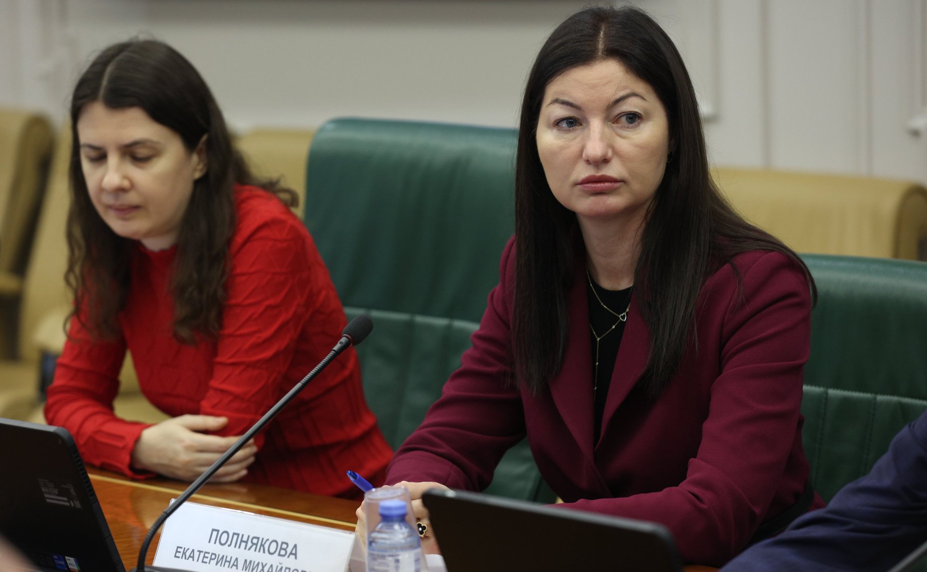 Заседание Комитета СФ по науке, образованию и культуре